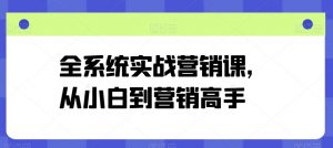 全系统实战营销课，从小白到营销高手-第一资源库