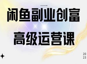 闲鱼电商运营高级课程,一部手机学会闲鱼开店赚钱-第一资源库