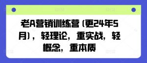 老A营销训练营(更24年5月),轻理论,重实战,轻概念,重本质-第一资源库