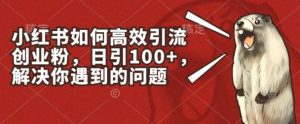 小红书如何高效引流创业粉，日引100+，解决你遇到的问题【揭秘】-第一资源库