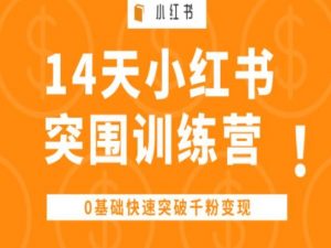 14天小红书突围训练营 ,0基础快速突破千粉变现-第一资源库