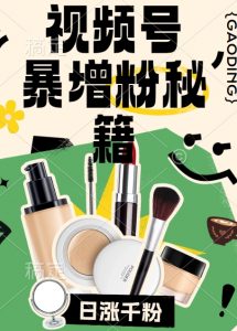 视频号涨粉方法,暴力起号,一天涨粉1000+,当天开橱窗【揭秘】-第一资源库