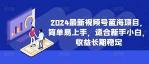 2024最新视频号蓝海项目，简单易上手，适合新手小白，收益长期稳定-第一资源库