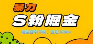 单人单机日引千粉,变现1k+,S粉流量掘金计划攻略【揭秘】-第一资源库