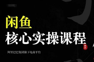 2024闲鱼核心实操课程,从养号、选品、发布、销售,教你做一个出单的闲鱼号-第一资源库