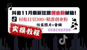 抖音11月最新狂揽创业粉秘籍,轻松日引300+精准创业粉,仅需图片+音频,轻松搞定创业类视频-第一资源库