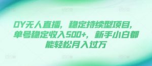 DY无人直播，稳定持续型项目，单号稳定收入500+，新手小白都能轻松月入过万【揭秘】-第一资源库