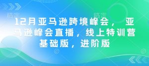 12月亚马逊跨境峰会, 亚马逊峰会直播,线上特训营基础版,进阶版-第一资源库