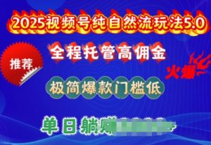 2025视频号纯自然流玩法5.0,全程托管高佣金,极简爆款门槛低,单日收益多张【揭秘】-第一资源库