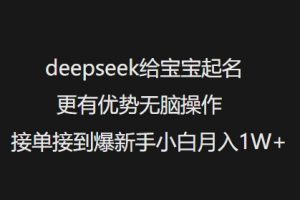 deepseek给宝宝起名更有优势无脑操作接单接到爆新手小白月入1W+-第一资源库