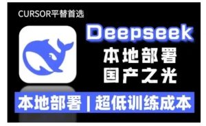 2025年deepseek R1 大型模型本地安装部署(文件+教程)本地部署,超低训练成本-第一资源库