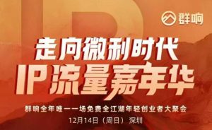 2025ip嘉年华万人12月14深圳线下课，走向微利时代，IP流量嘉年华，实操性极强的商业干货课-第一资源库