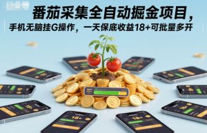 番茄采集全自动掘金项目,手机无脑挂G操作,一天保底收益18+可批量多开【揭秘】-第一资源库