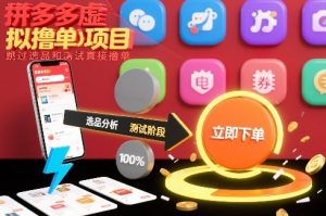 拼多多虚拟撸单项目，跳过选品和测试直接撸单-第一资源库