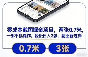 零成本截图掘金项目，两张0.7米，一部手机操作，轻松日入3张，副业新选择【揭秘】-第一资源库