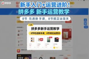 新手入门+运营进阶！拼多多新手运营教学，8节吃透新手课，8节搞定运营关-第一资源库