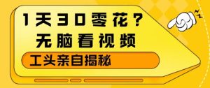 1天30零花?无脑看视频,大佬亲自揭秘-第一资源库