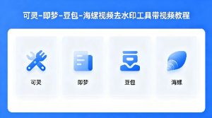 可灵–即梦–豆包–海螺视频去水印工具带视频教程-第一资源库