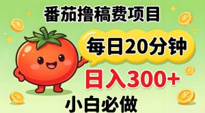 番茄撸稿费，每天20分钟，日入300+！0门槛躺賺，小白直接抄作业【揭秘】-第一资源库