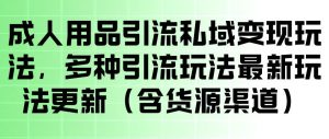 成人用品引流私域变现玩法，多种引流玩法最新玩法，操作简单（含货源渠道）-第一资源库