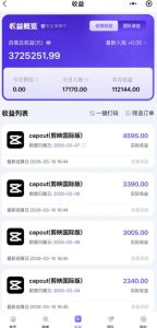 海外TikTok剪映cupcut拉新，市场广阔，潜力巨大，月入1w+，适合TK创作者的新机会-第一资源库
