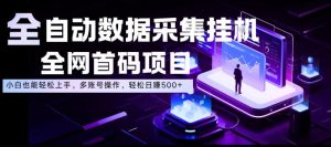 全自动数据采集挂G，全网首码项目，简单易操作，小白也能轻松上手，多账号操作，轻松日入500+【揭秘】-第一资源库