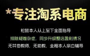松鼠会电商VIP课程，从基础布局到高阶优化，助你掌握淘宝运营逻辑，提升店铺流量与转化-第一资源库